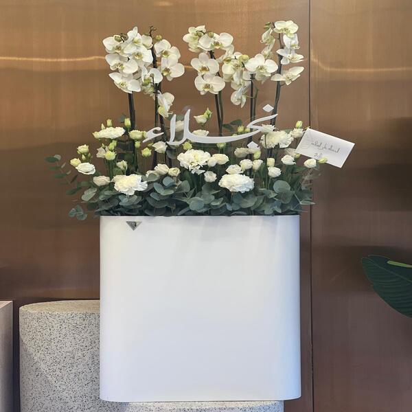 ed06c2de_WhatsApp Image 2026-01-22 at 2.05.01 PM (1).jpeg